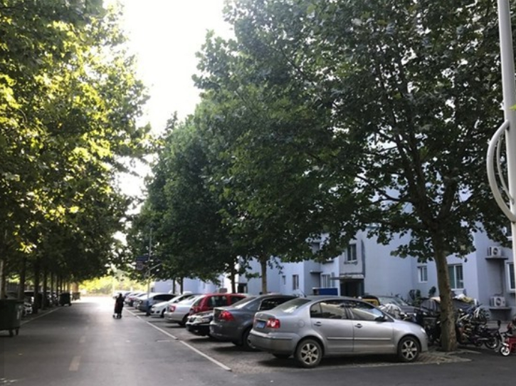 （2009年）鄒平一中翠微園1號、2號、6號樓鑒定